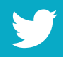 Twitter Icon
